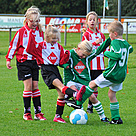 2012-10-13 10.38.07 DSC_2438